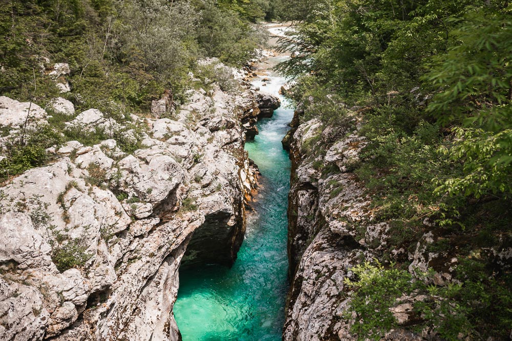 Soča-Trail mit Hund