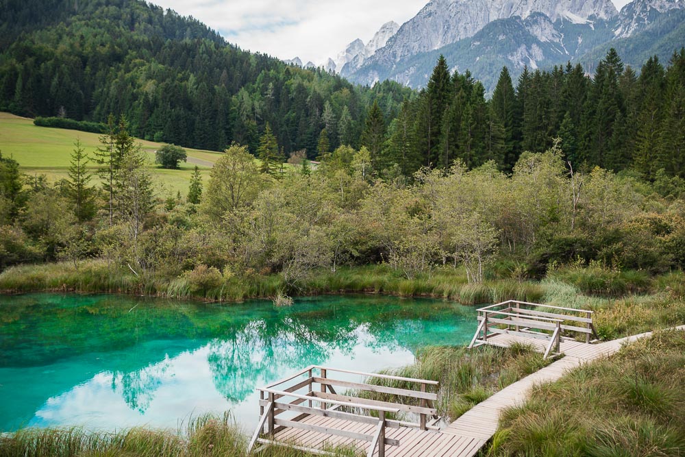 Naturreservat Zelenci