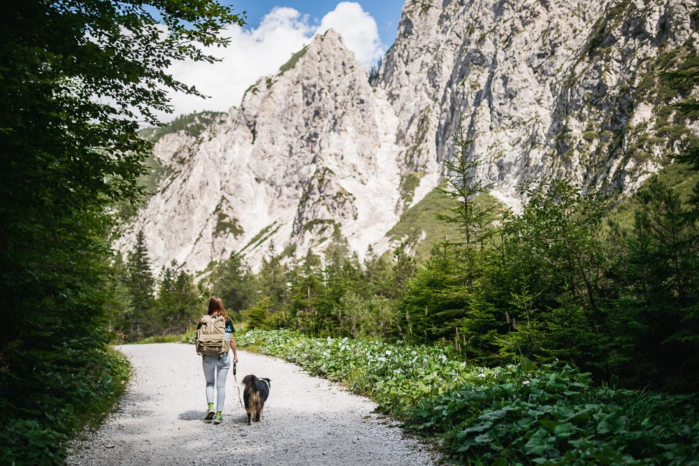 Wandern in Slowenien mit Hund