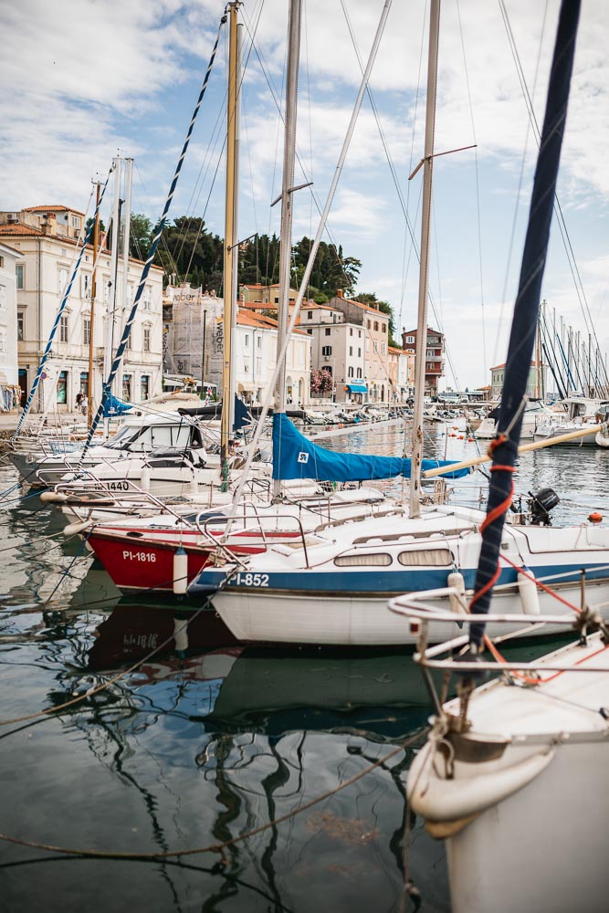 Piran Hafen Slowenien mit Hund