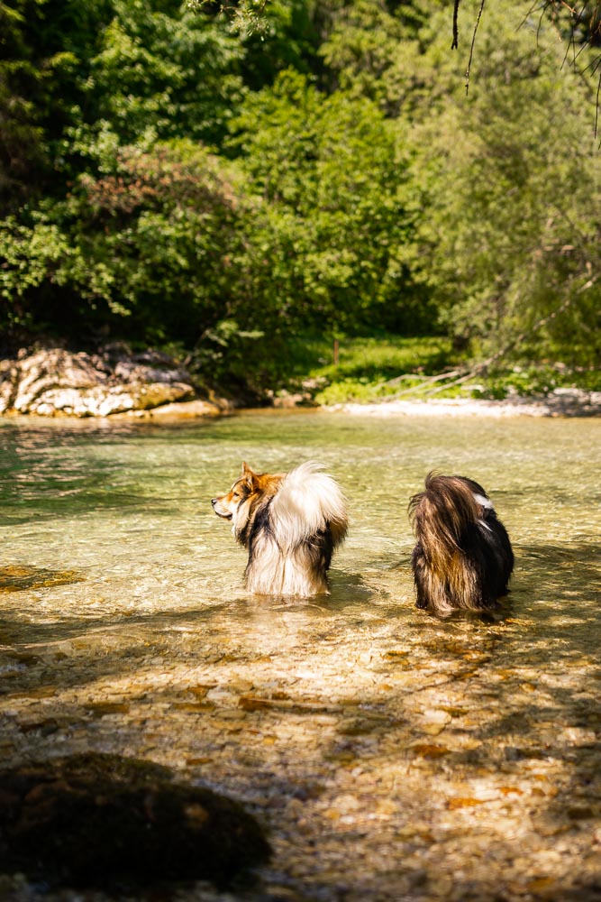 Grmečica Wasserfall Geheimtipp in Slowenien