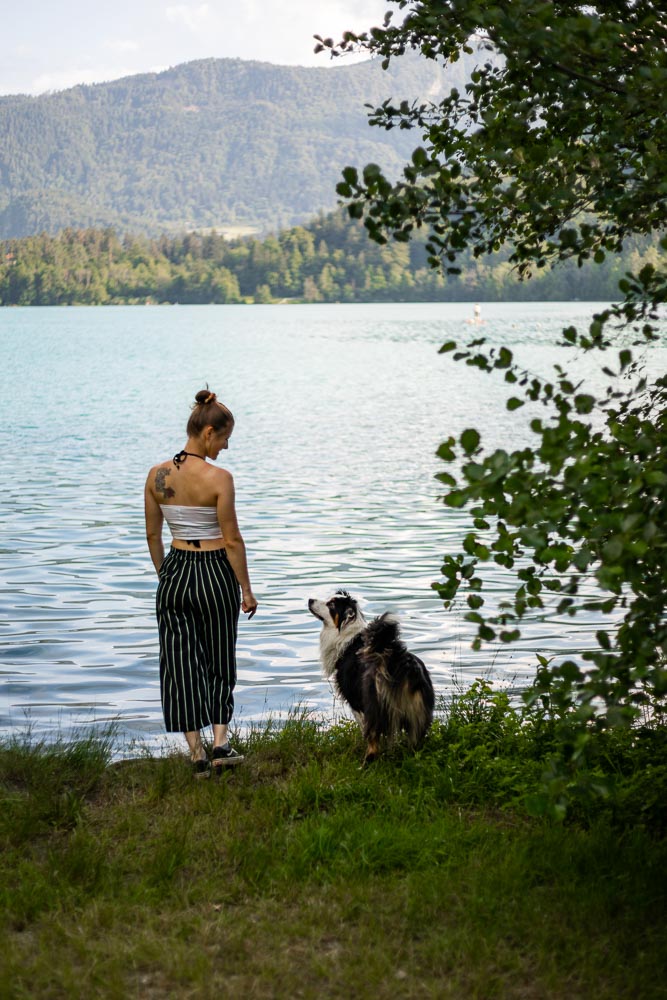 Um den Bleder See mit Hund