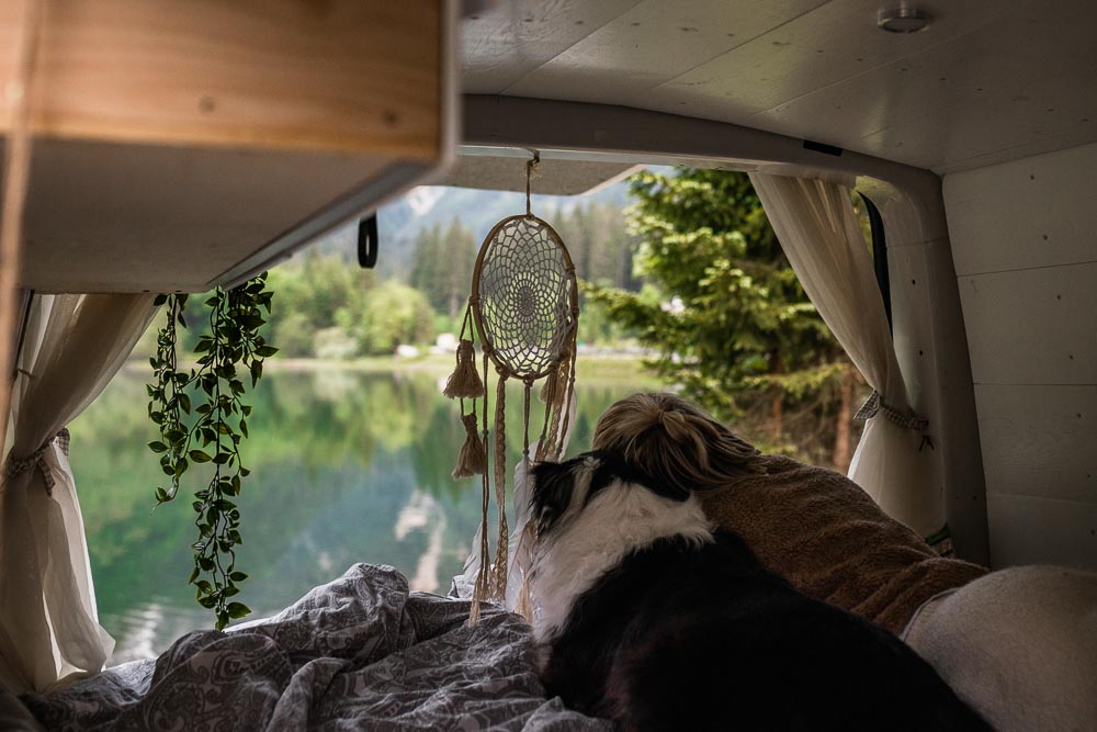 Vanlife mit Hund Österreich