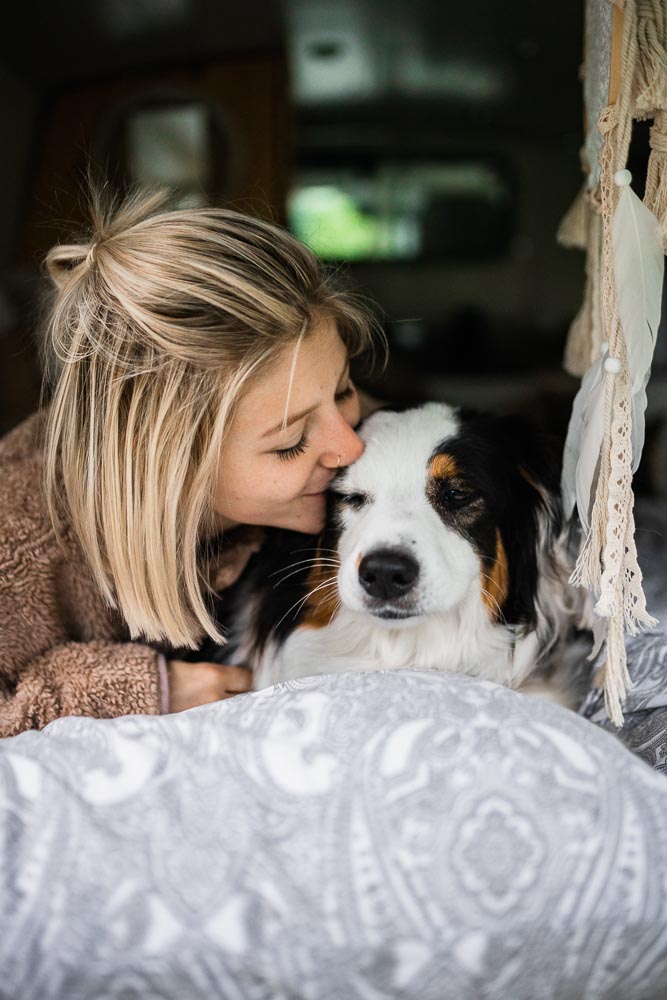 Vanlife mit Hund Österreich