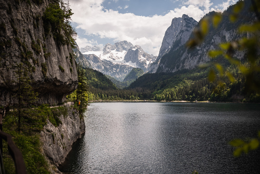 Gosausee mit Hund