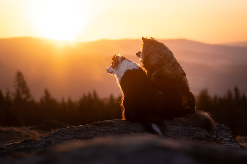 Sonnenaufgang am Teufelstein Steiermark