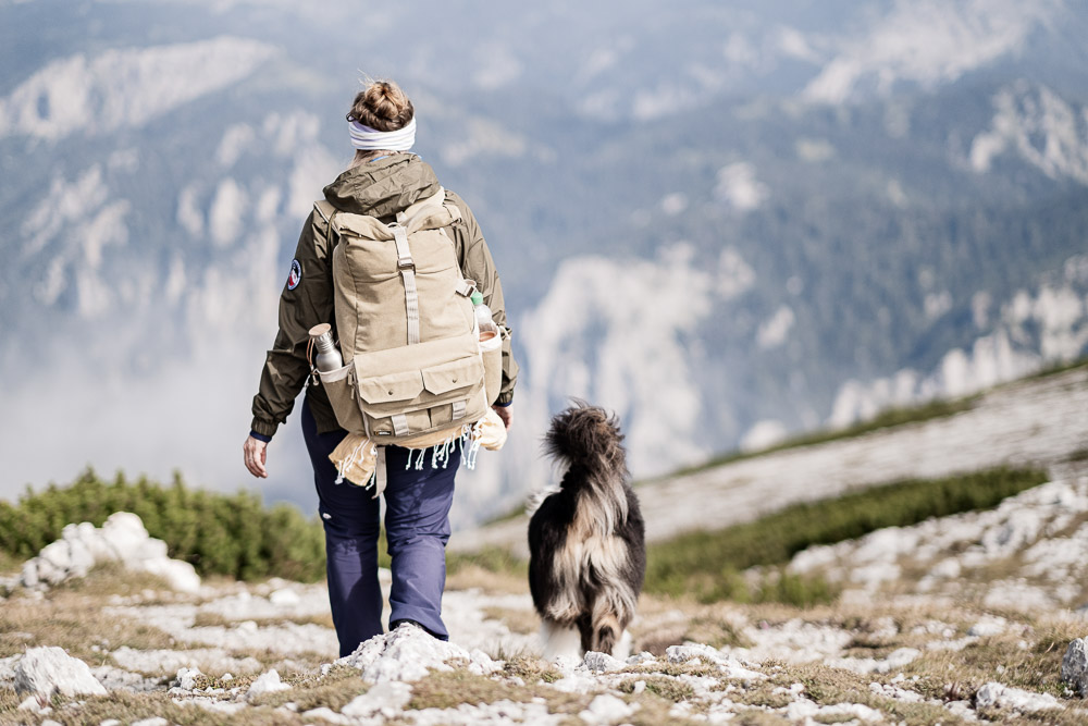 Edelweißboden und Hochturm mit Hund