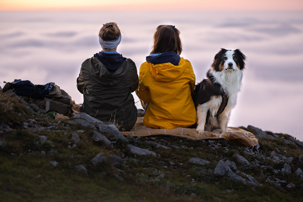 Sonnenaufgang am Edelweißboden