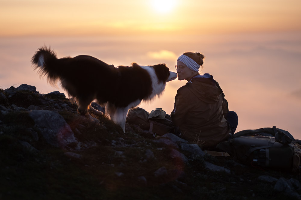 Sonnenaufgang am Edelweißboden