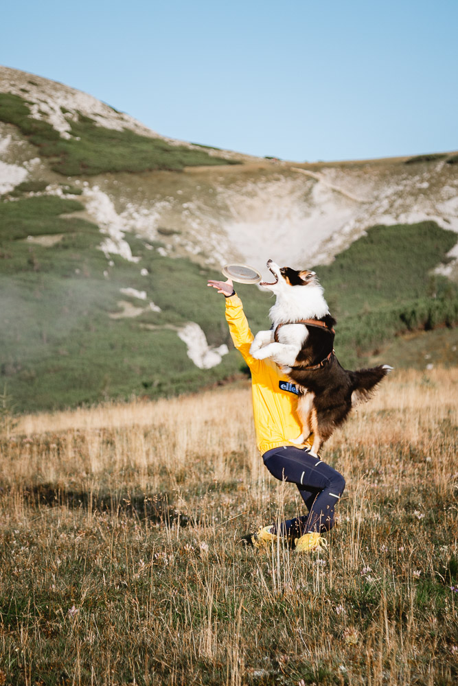 Waderung auf den Hochturm mit Hund