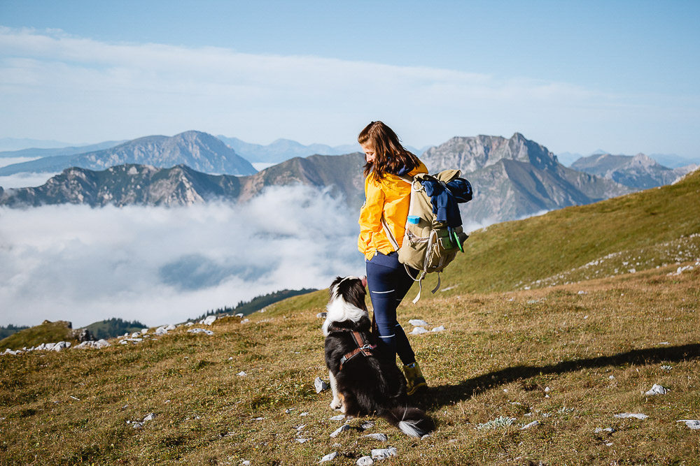 Wandern mit Hund