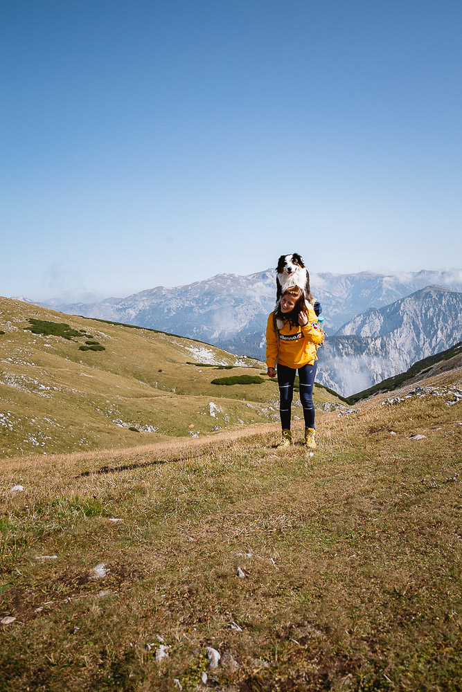 Wandern mit Hund Steiermark