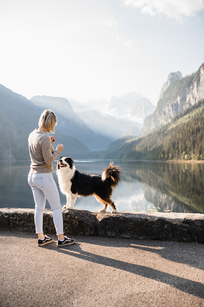 Vorderer Gosausee mit Hund