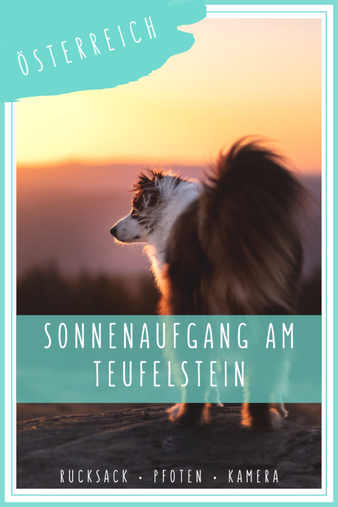 Wanderung auf den Teufelstein mit Hund