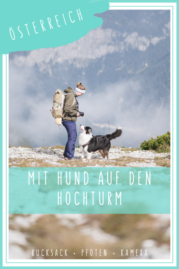 Wanderung mit Hund Edelweißboden und Hochturm