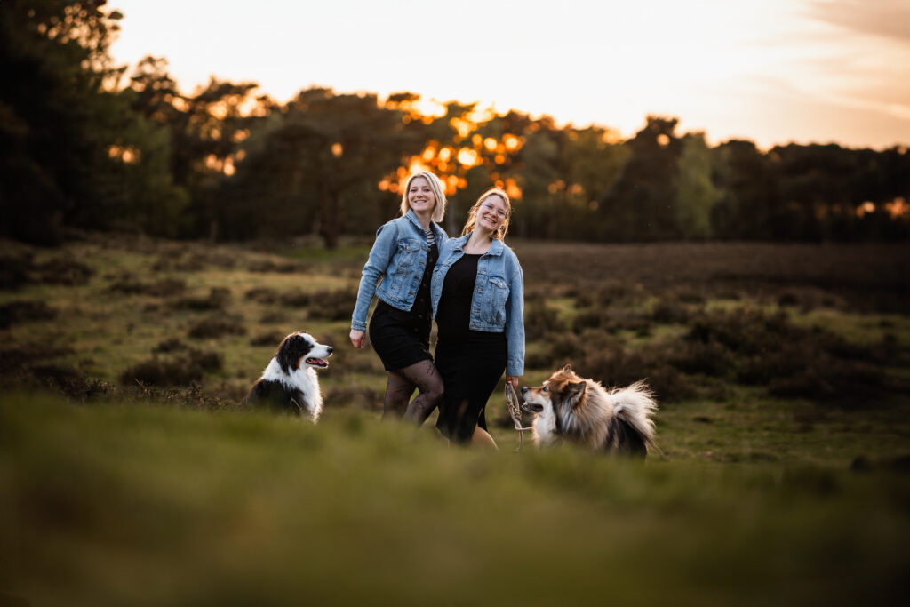 Hundefotografie im Alltag