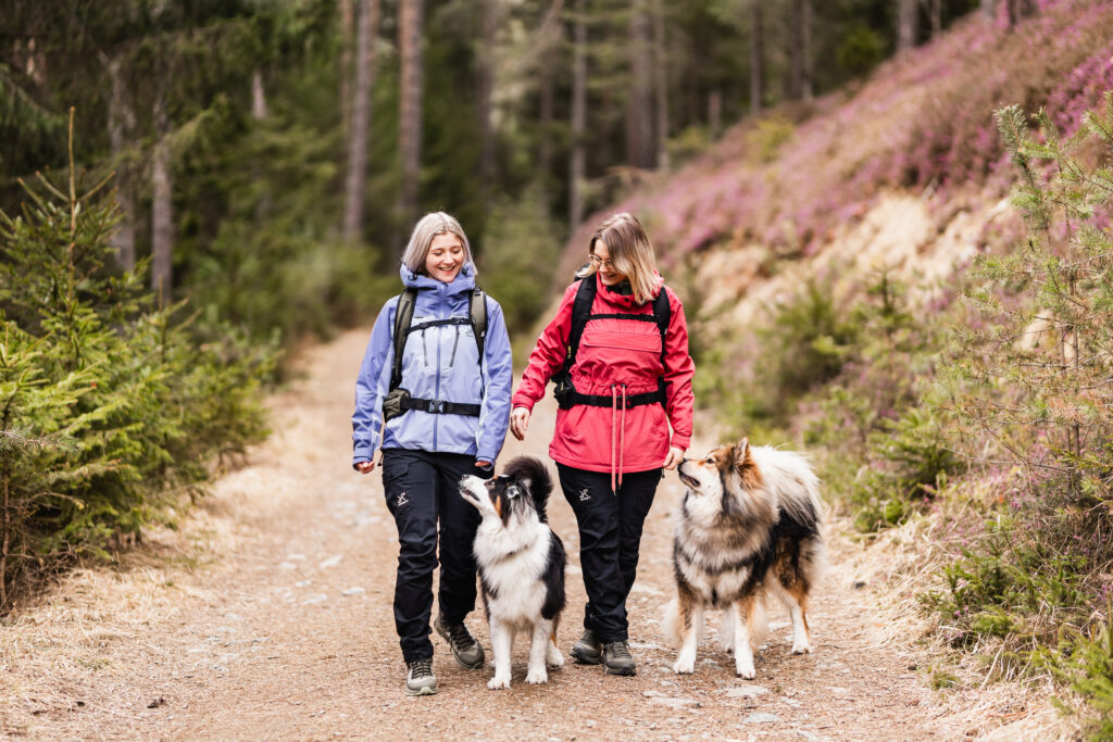 Hundefotografie im Alltag