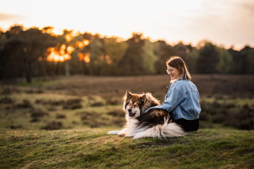 Alltag mit Hund