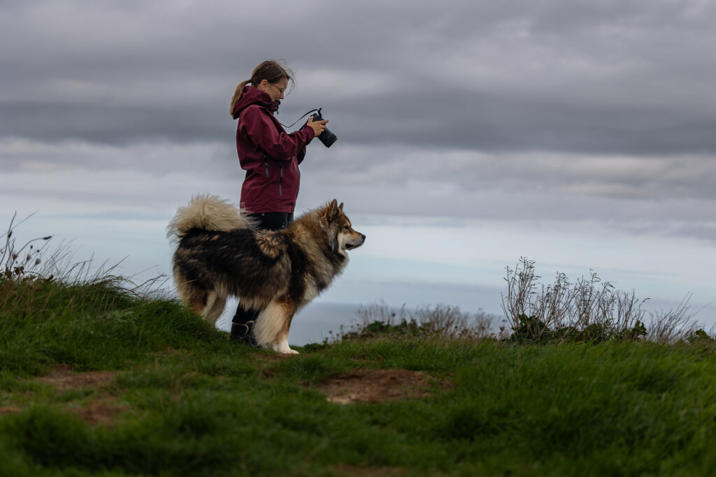 Hundefotografie im Alltag