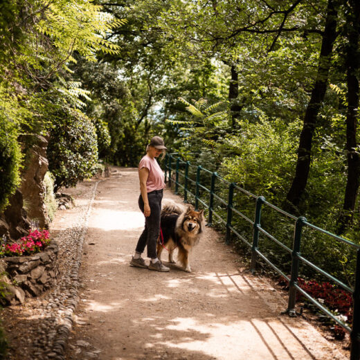 Tappeinerweg mit Baby und Hund