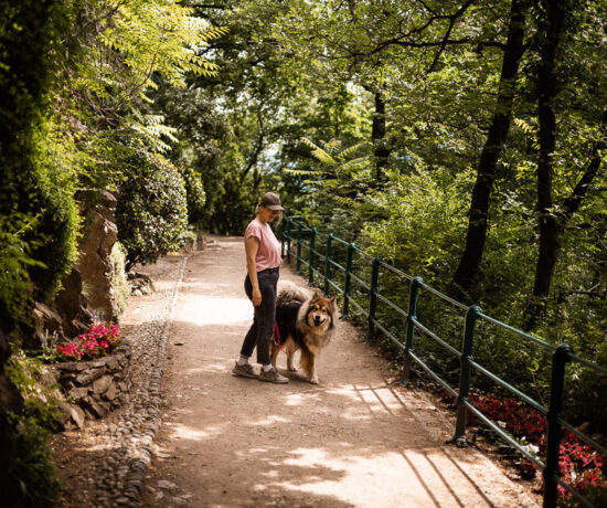 Tappeinerweg mit Baby und Hund