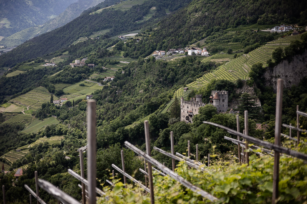 Meran mit Hund und Kind
