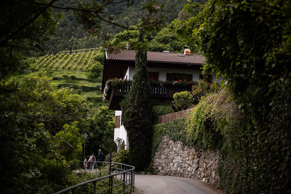 Meran mit Hund und Kind
