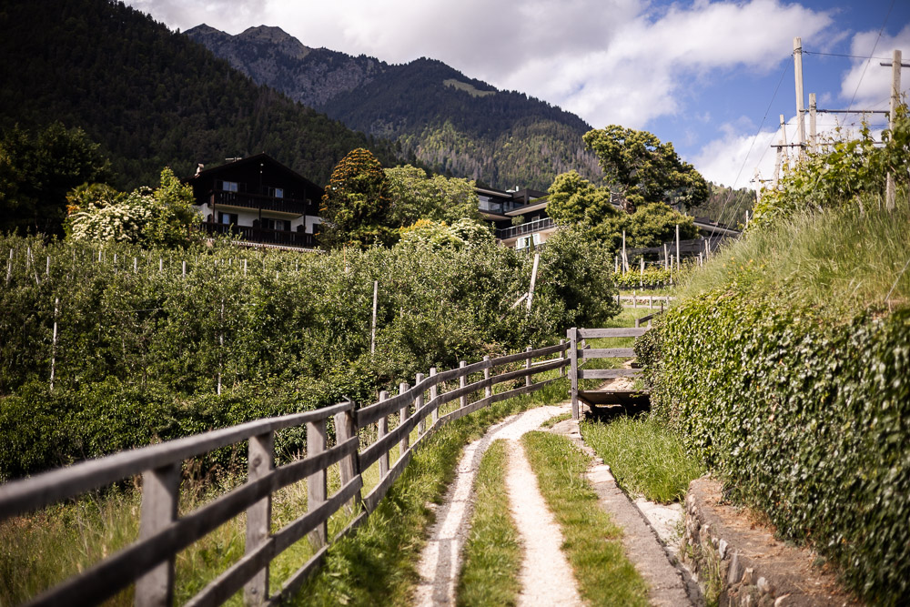 Apfelweg Dorf Tirol