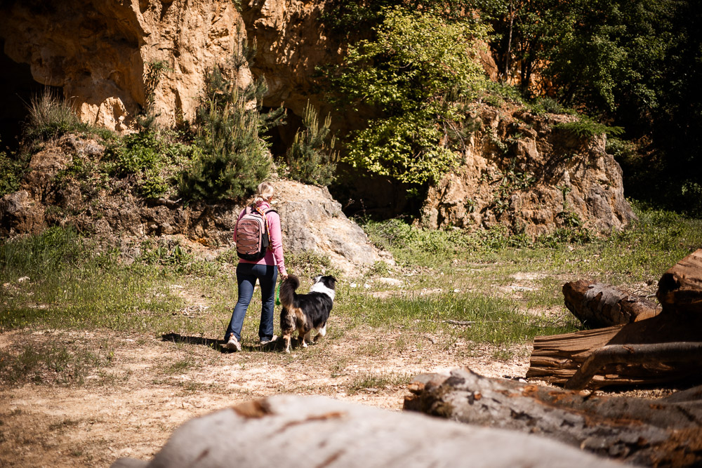 Familienwanderung Buchkogel mit Hund