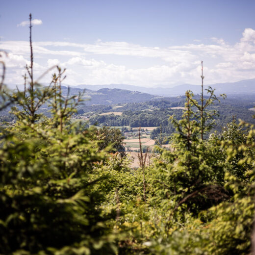 Buchkogel Steiermark