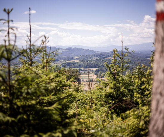 Buchkogel Steiermark