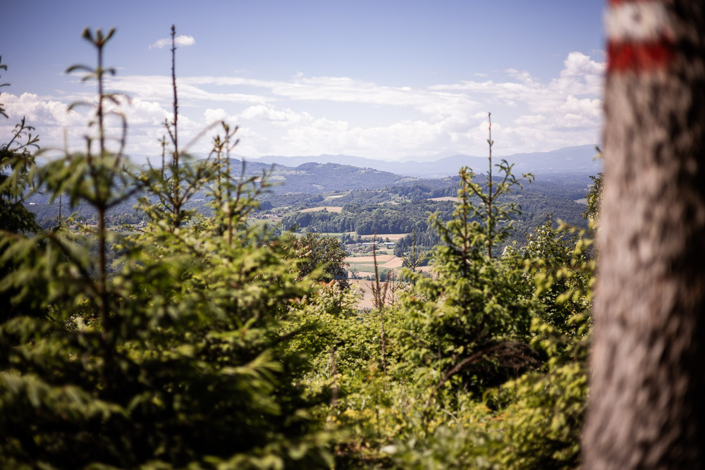 Buchkogel Steiermark