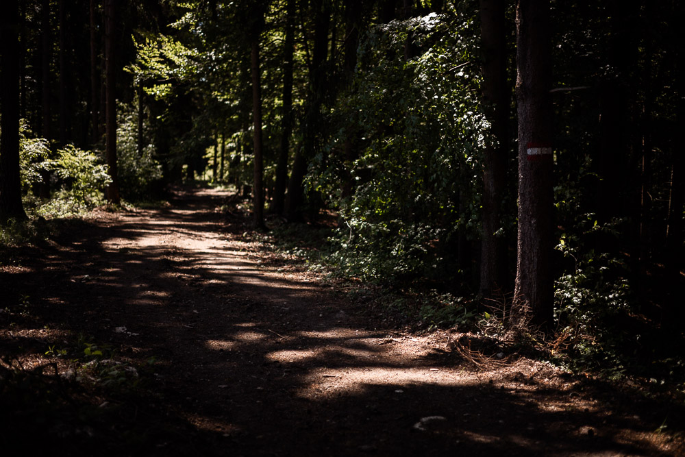 Familienwanderung mit Hund