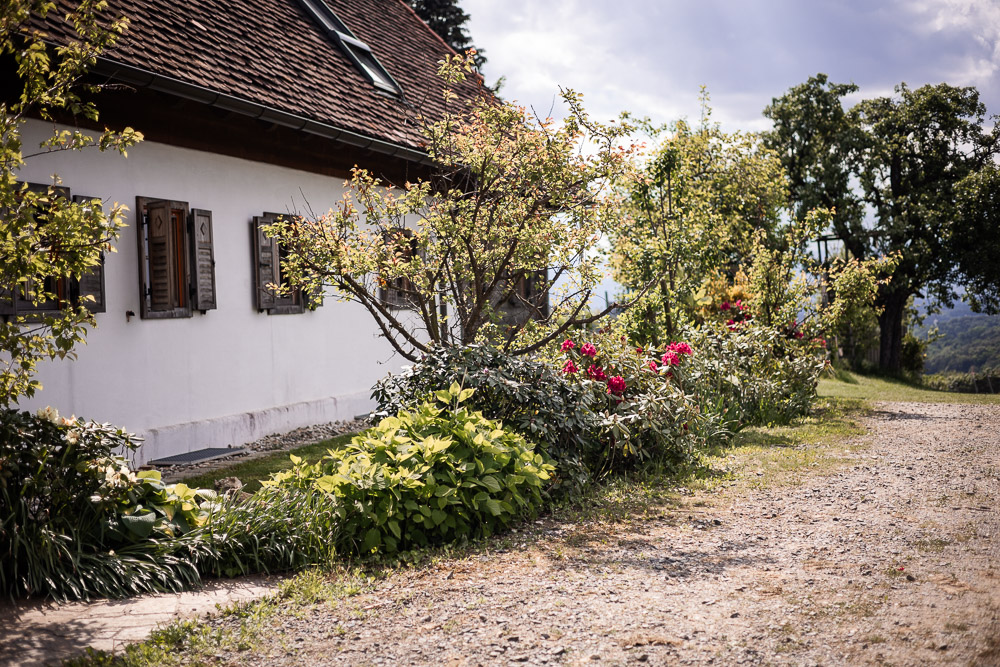 Bockmoar steiermark Buchkogel