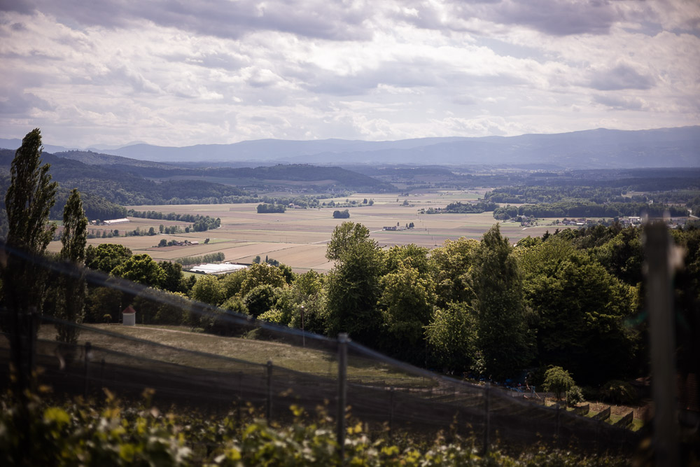 Familienwanderung Buchkogel