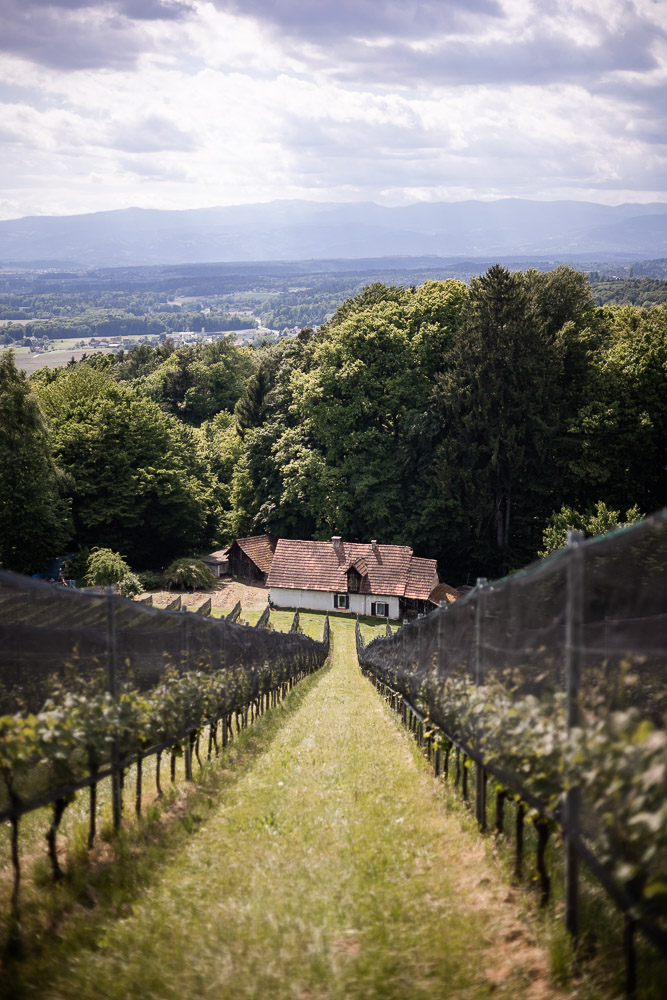 Bockmoar steiermark Buchkogel