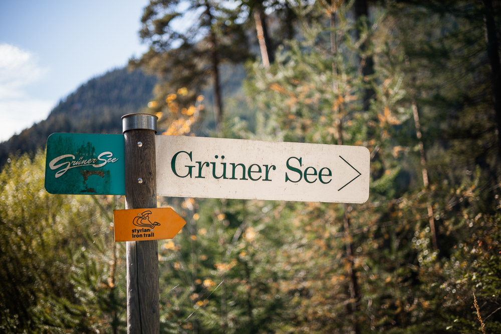 Grüner See mit Kinderwagen & Hund