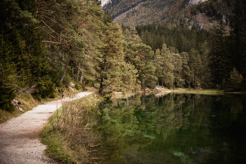 Grüner See mit Kinderwagen & Hund