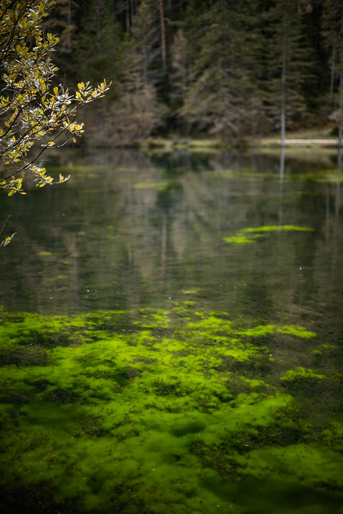 Kreuzteich in Tragöß