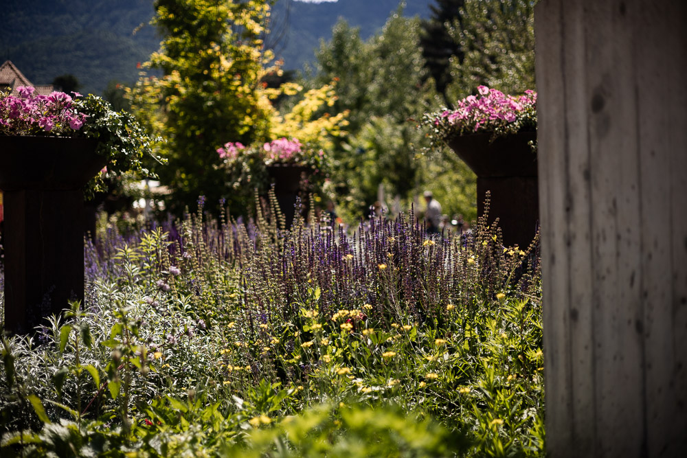 Passer in Meran