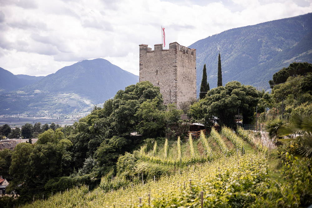 Meran mit Kind und Hund