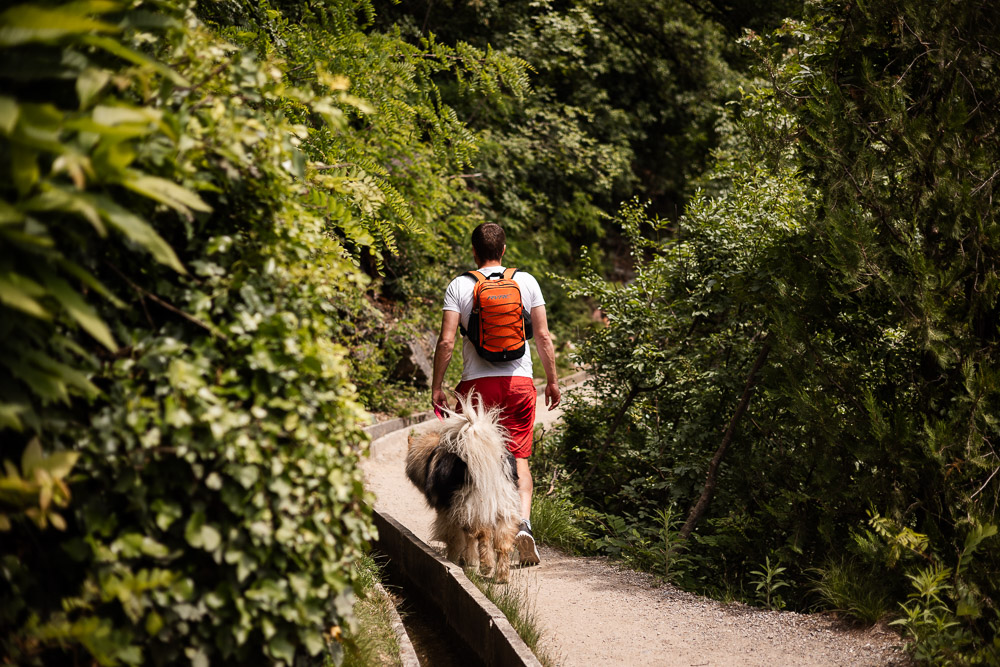 Meran mit Hund und Kind